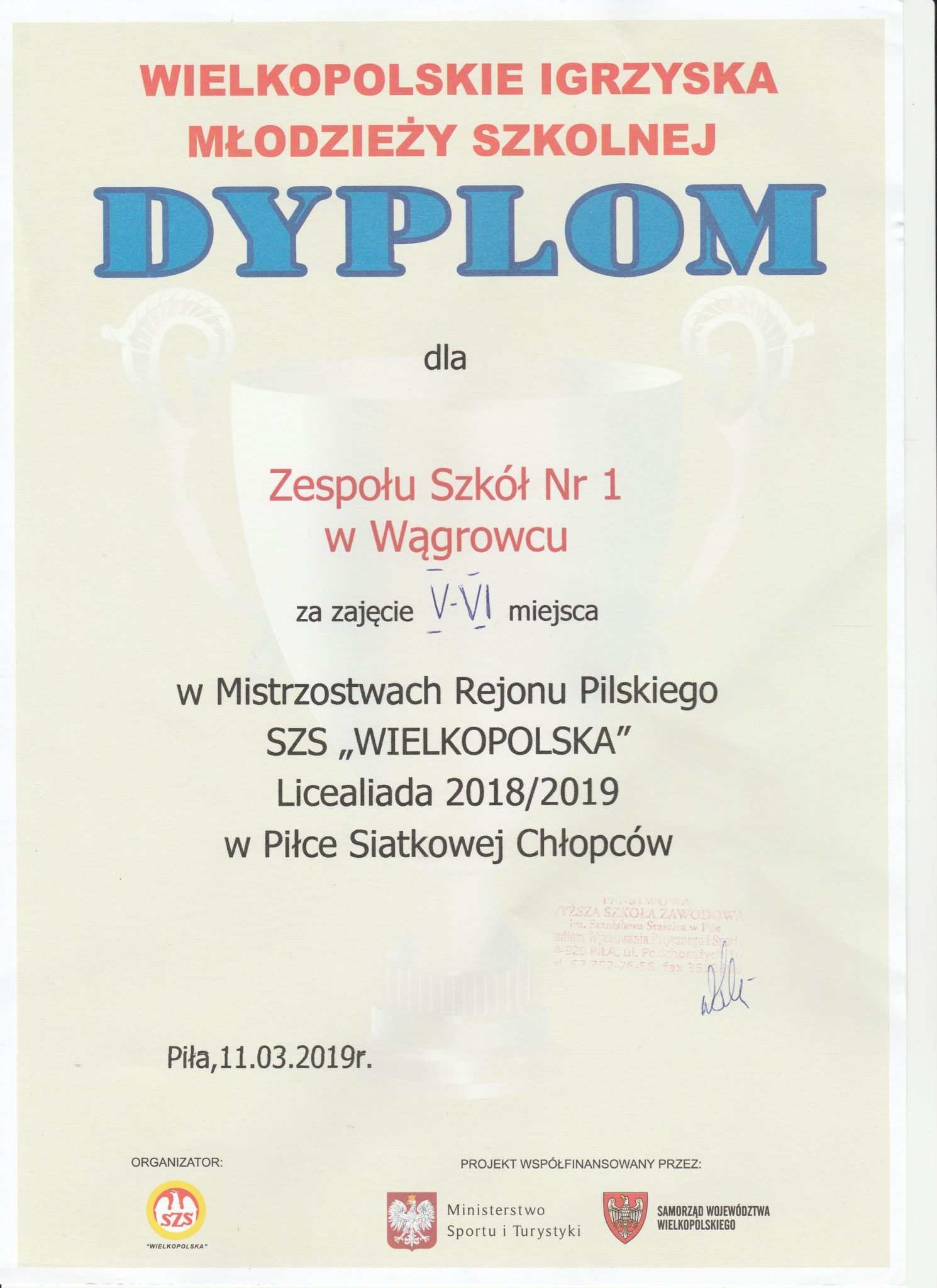 Dyplom Rejon Piłka Siatkowa Chłopcy 2019